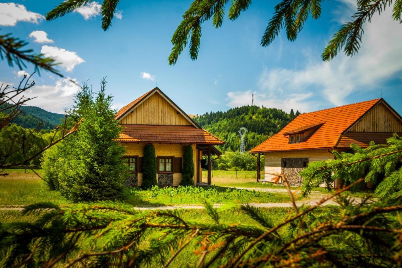 Pensiunea Sapte Flori Gheorgheni  Buitenkant foto