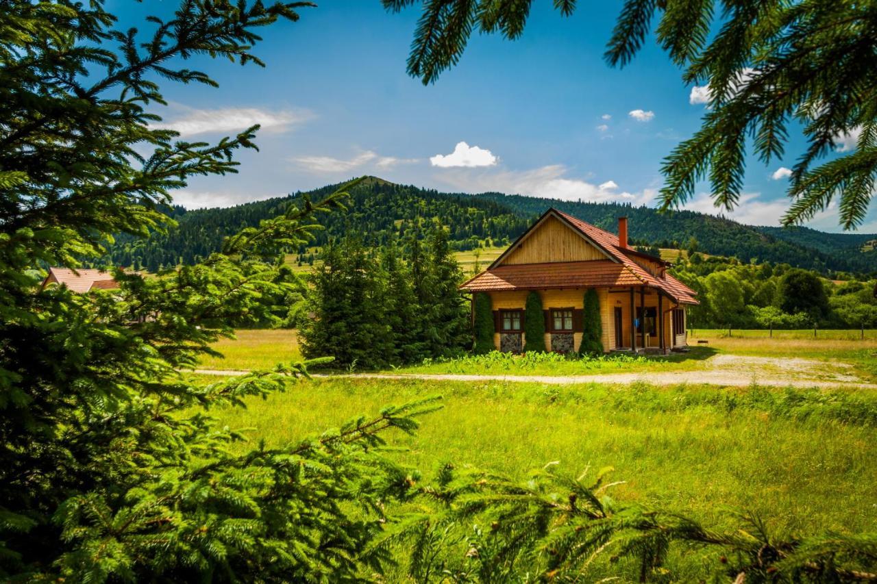 Pensiunea Sapte Flori Gheorgheni  Buitenkant foto