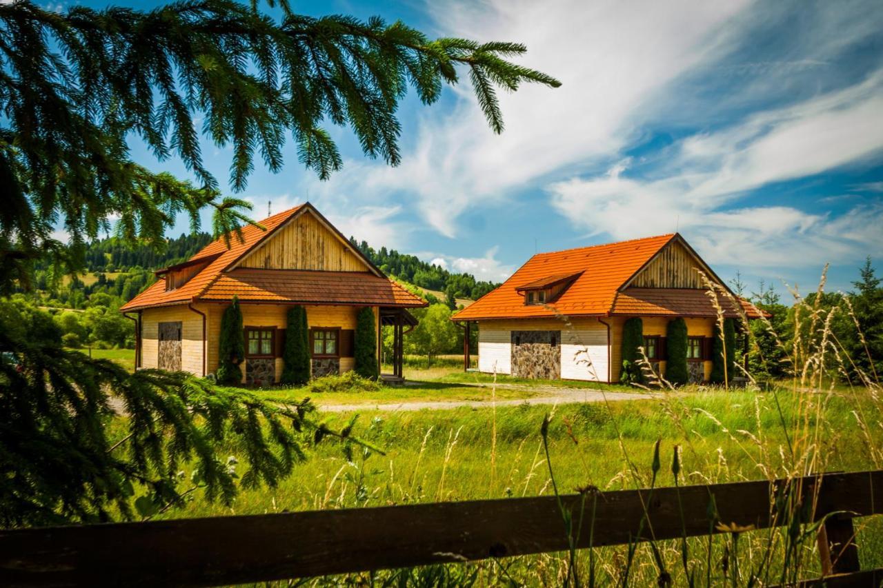 Pensiunea Sapte Flori Gheorgheni  Buitenkant foto